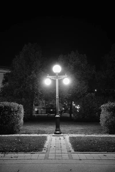 Szary Ujęcie Parku Uliczną Lampą — Zdjęcie stockowe