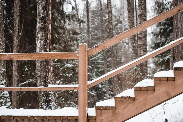 Eine Gefrorene Treppe Wald Mit Hohen Bäumen Winter — Stockfoto