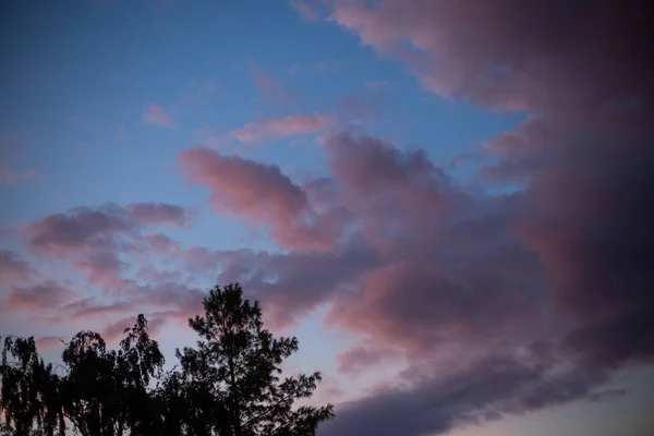 Eine Faszinierende Wolkenlandschaft Über Grünen Bäumen Bei Sonnenuntergang Der Stadt — Stockfoto