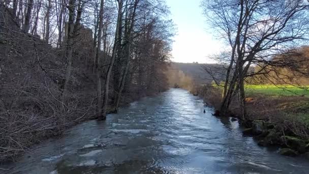 Мальовничі Кадри Красивої Потокової Гірської Річки — стокове відео