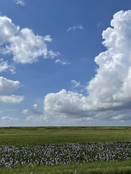 Eine Schöne Aufnahme Von Flauschigen Wolken Einem Blauen Himmel Über — Stockfoto
