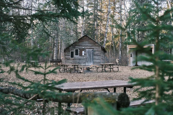 昼間は森の中の木造小屋 — ストック写真