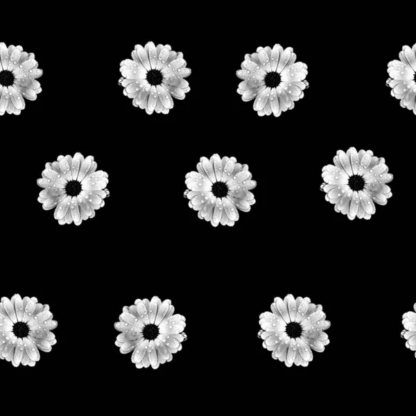 Abstrakti Musta Tausta Kukkia — kuvapankkivalokuva