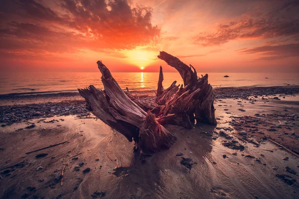 Pôr Sol Colorido Costa Mar Báltico Lituânia — Fotografia de Stock