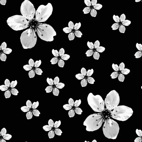 Fondo Negro Abstracto Con Flores — Foto de Stock