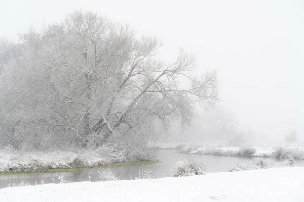 Die Landschaft Bei Schneefall Bäume Mit Schnee Bedeckt — Stockfoto