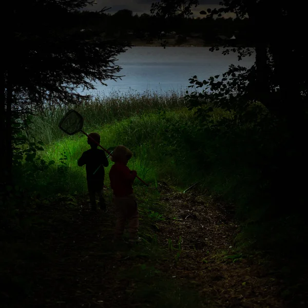 Tmavý Pohled Dvě Děti Jak Snaží Chytit Motýla Parku Malým — Stock fotografie
