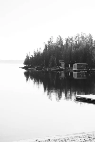 Uma Imagem Tons Cinza Margem Lago Com Árvores — Fotografia de Stock