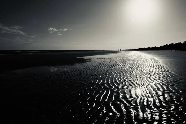Piękny Widok Plaży Skali Szarości — Zdjęcie stockowe