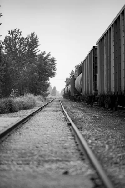 Demiryolu Istasyonunun Dikey Gri Tonlu Görüntüsü — Stok fotoğraf