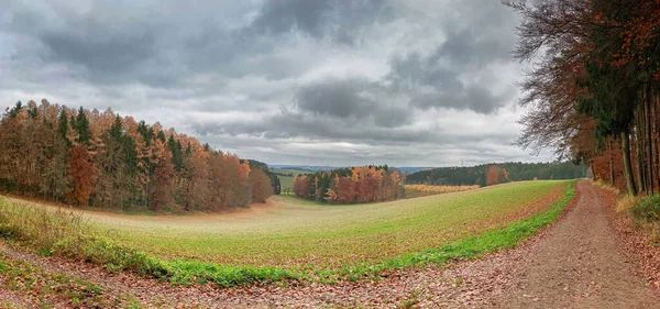 Osamělá Procházka Bavorským Lesem Během Podzimu — Stock fotografie