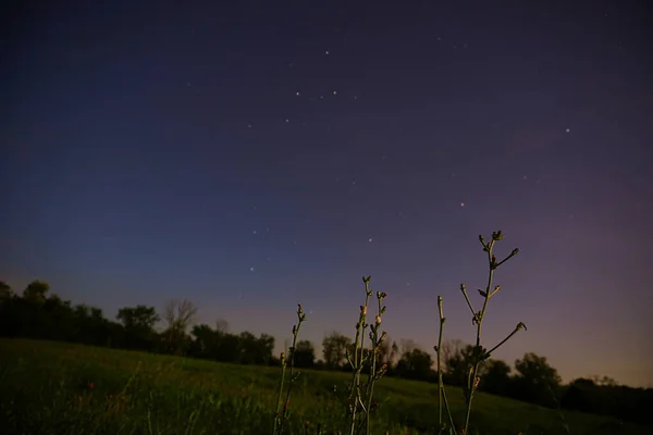 Прекрасне Зоряне Нічне Небо Над Полем — стокове фото