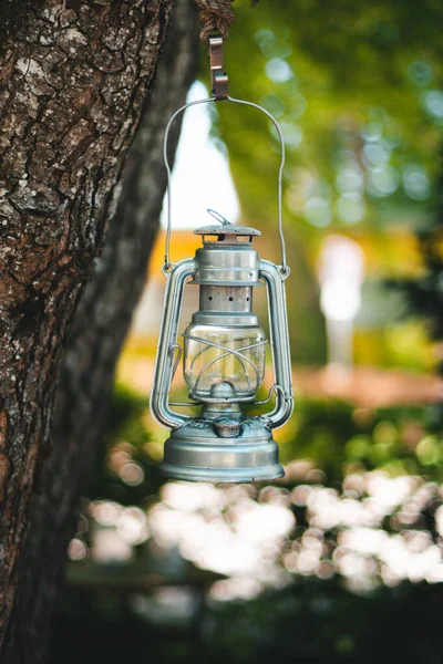 Vertikální Záběr Olejové Lampy Visící Stromě — Stock fotografie