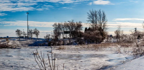 Uma Bela Vista Uma Paisagem Inverno Com Árvores Cobertas Neve — Fotografia de Stock