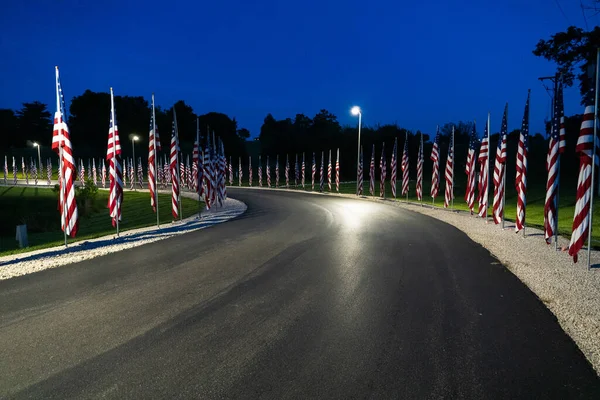 両側に米国の旗を持つ道路の夜のショット — ストック写真