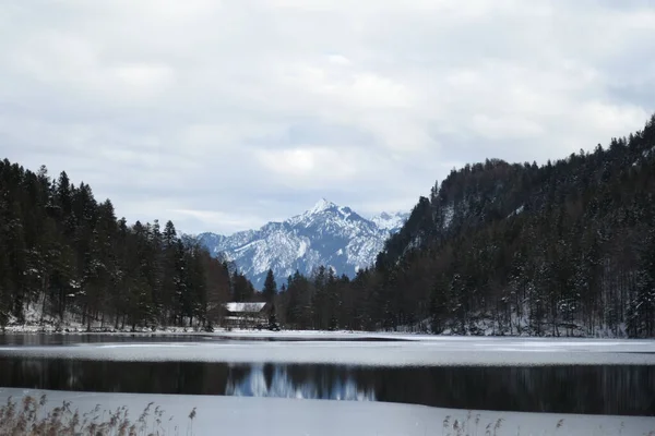 Μια Όμορφη Φωτογραφία Μιας Λίμνης Χιονισμένα Δέντρα — Φωτογραφία Αρχείου