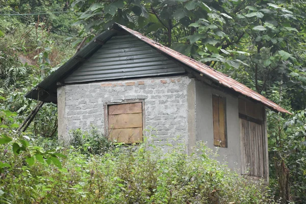 Una Casa Rural Bosque Denso —  Fotos de Stock