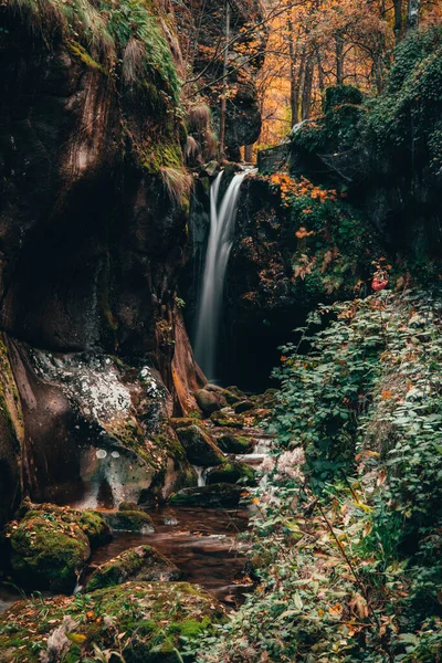 森の中の滝の美しいショット — ストック写真