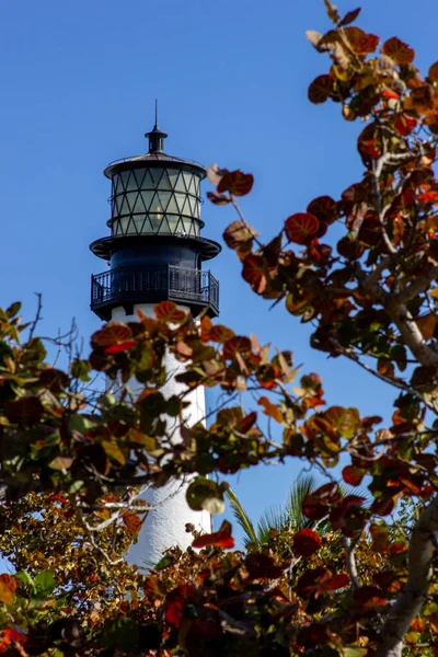 Disparo Vertical Del Faro Blanco Bill Baggs Cape Florida State —  Fotos de Stock