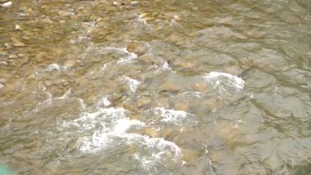 Vertikalt skott av stenar i en ström som rinner vatten — Stockvideo