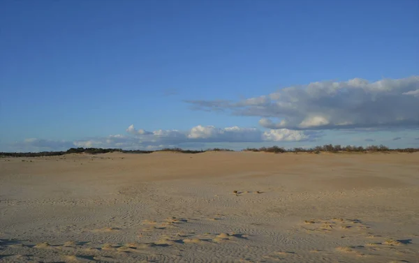 Una Bella Vista Delle Dune Sabbia Sotto Cielo Nuvoloso — Foto Stock