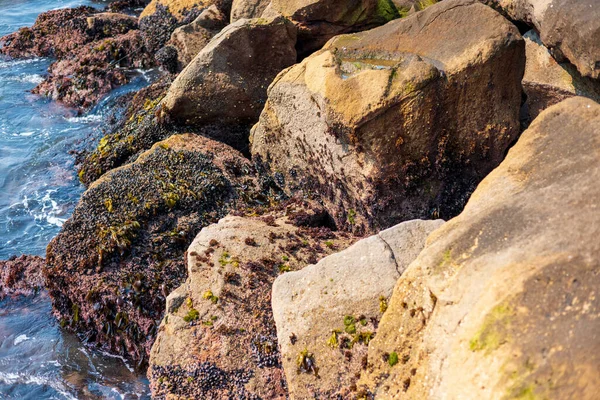 Closeup Shot Big Stones Half Moon Bay San Fransico California — Stockfoto
