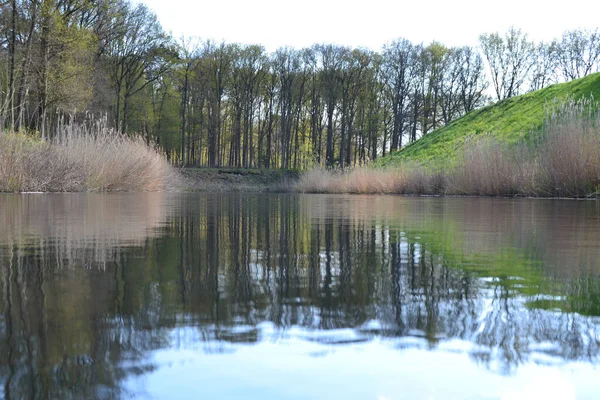 Uma Vista Panorâmica Das Árvores Refletida Lago Tranquilo — Fotografia de Stock