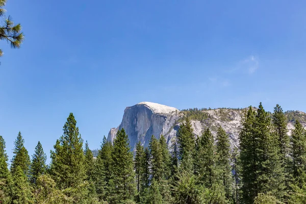 Una Hermosa Vista Bosque Con Pinos Parque Nacional Yosemite — Foto de Stock