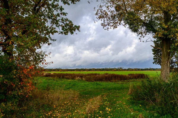 Een Landschap Van Bomen Weide Tegen Een Bewolkte Lucht — Stockfoto