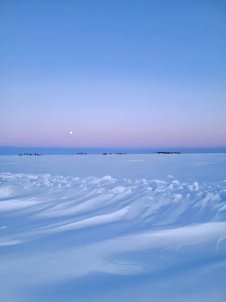 Tiro Vertical Uma Bela Paisagem Nevada Com Uma Lua Cheia — Fotografia de Stock