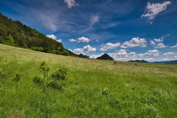 Piękny Widok Zielone Pole Błękitne Niebo — Zdjęcie stockowe