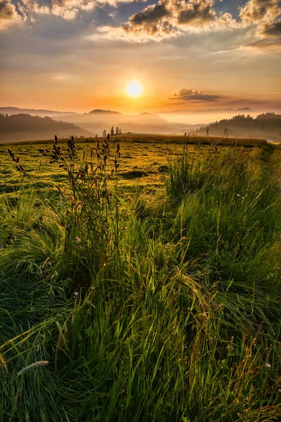 Una Toma Vertical Hermosa Puesta Sol Sobre Campo Verde — Foto de Stock