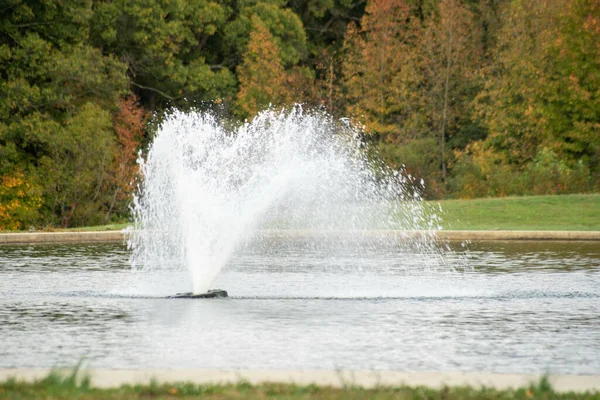 在公园的湖中喷出的水泉 — 图库照片