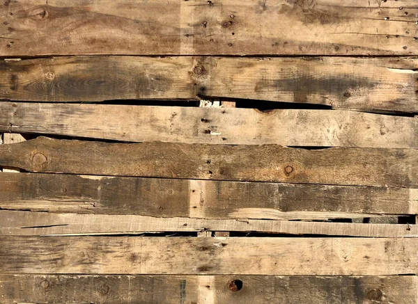 Veduta Una Parete Legno Quercia Rustica — Foto Stock