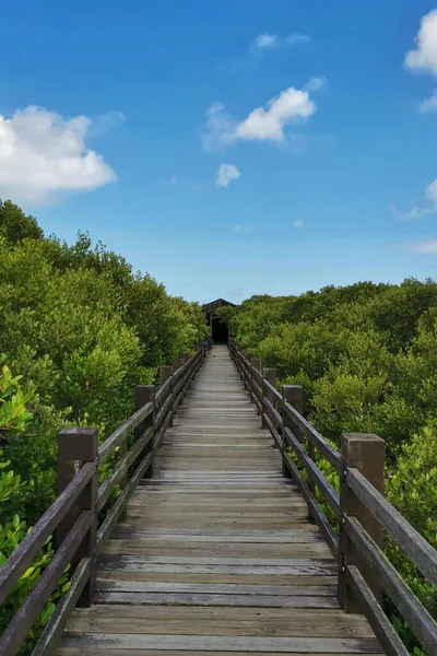 Vertical Shot Wooden Walkway Park Covered Greenery Sunlight Blue Sky — Stockfoto