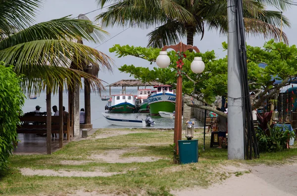 Uitzicht Haven Palmbomen Voorgrond — Stockfoto