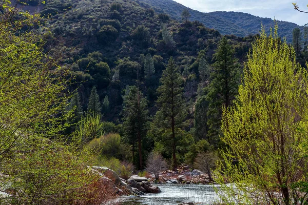 Beautiful View River Yosemite National Park California Usa — Stock Photo, Image