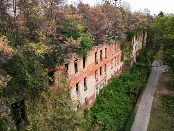 Uma Foto Caminho Canopy Com Prédio Abandonado Coberto Árvores Beelitz — Fotografia de Stock