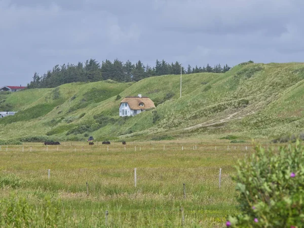 Krásný Výhled Malý Vesnický Domek Velkém Zeleném Poli Blokhusu Dánsko Royalty Free Stock Obrázky