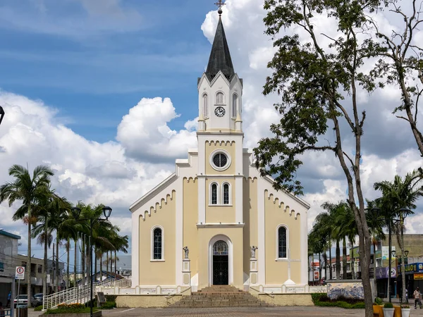Pohled Krásnou Katedrálu Igreja Matriz Sao Brazílie — Stock fotografie