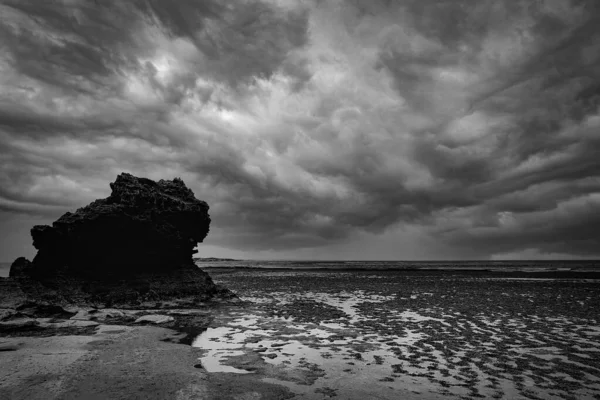 Grayscale Shot Seascape Heavy Clouds — Stock Photo, Image