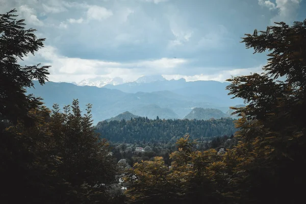 Ein Schöner Blick Auf Eine Bergige Landschaft Mit Bäumen Unter — Stockfoto