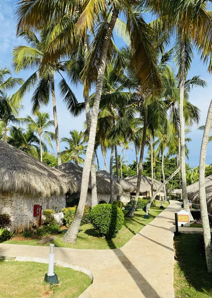 Küçük Evleri Palmiyeleri Olan Güzel Bir Tropik Tatil Köyünün Manzaralı — Stok fotoğraf