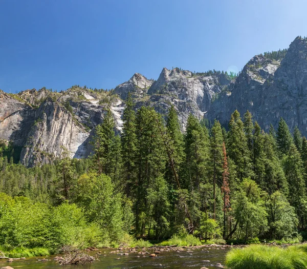 Een Prachtig Uitzicht Een Rivier Yosemite National Park Verenigde Staten — Stockfoto