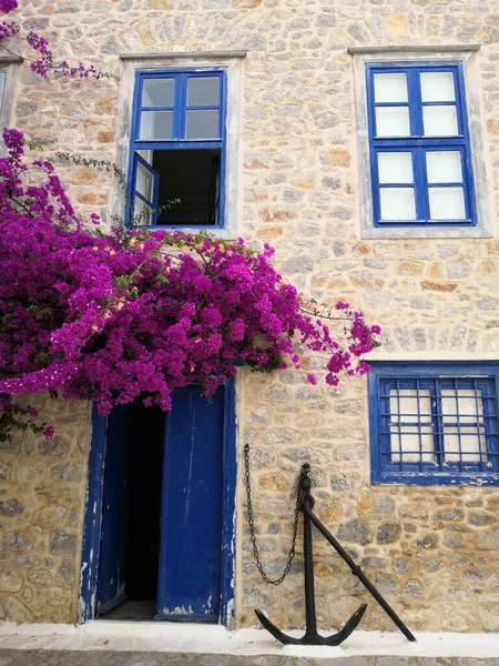 Вертикальный Снимок Красивого Старого Дома Синими Окнами Дверью Восхитительными Цветами — стоковое фото