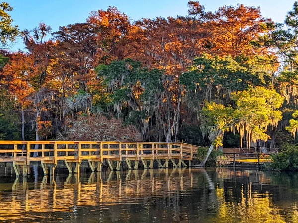 一条被秋天的树木环绕的河中的木板路的自然景观 — 图库照片