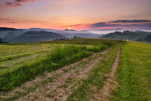 Bela Paisagem Com Campo Verde Pôr Sol — Fotografia de Stock