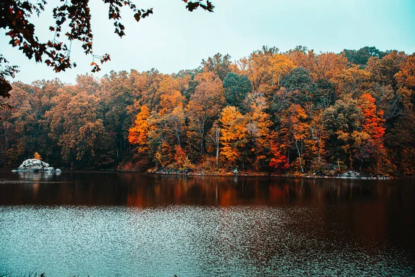 Piękne Ujęcie Jeziora Kolorowe Drzewa Tle Pod Czystym Niebem — Zdjęcie stockowe