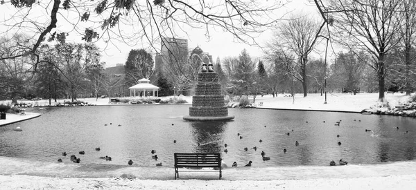 Scenic Black White Shot Pond Goodale Park Columbus Ohio — Stockfoto