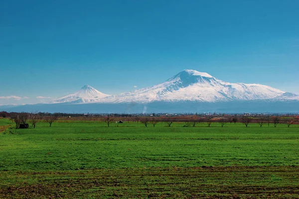 2つの大きな雪の火山のコーンとアララト山と緑の牧草地の美しい景色 — ストック写真